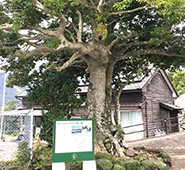 宝亀教会
