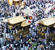 岸和田だんじり祭