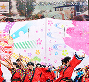 YOSAKOIソーラン祭り