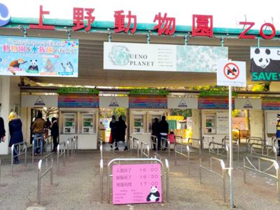 上野動物園の注目動物や園内マップ