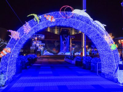 夜も満喫できる水族館・アクアリウム7選