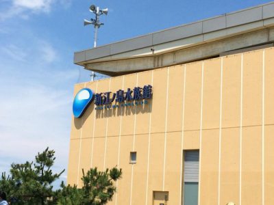 新江ノ島水族館の海の生き物や見どころ