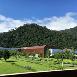島根県立古代出雲歴史 博物館 写真