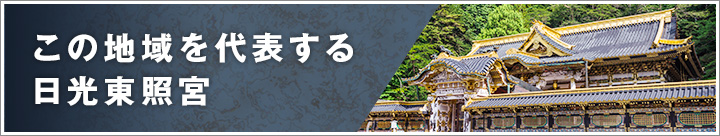この地域を代表する日光東照宮