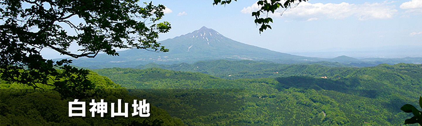 白神山地